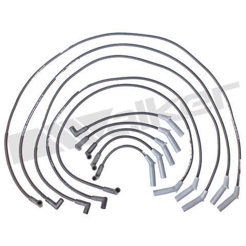 Walker Products Spark Plug Wire Set  924-1830