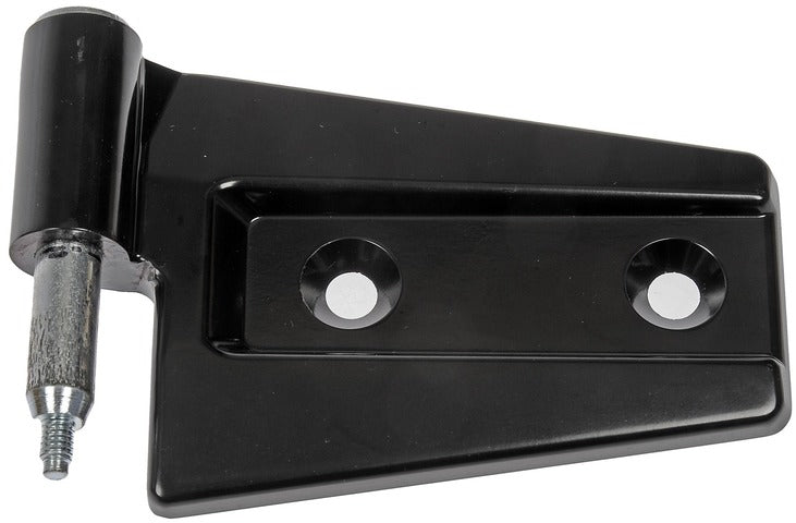 Dorman - OE Solutions Door Hinge  925-053