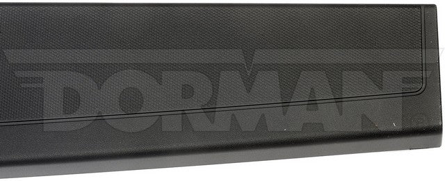 Dorman - OE Solutions Tailgate Molding  925-604