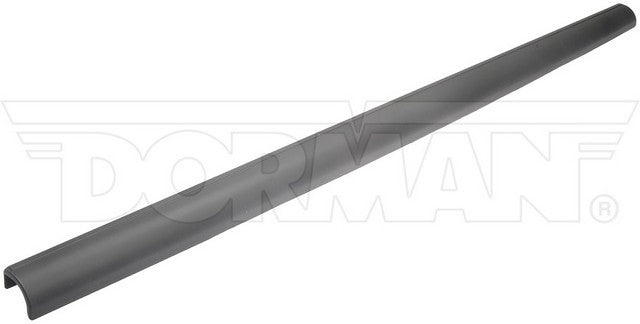 Dorman - OE Solutions Tailgate Molding  925-612
