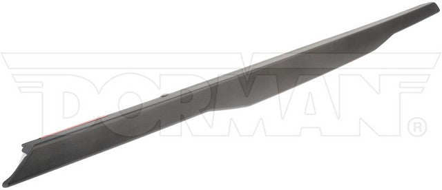 Dorman - OE Solutions Tailgate Molding  925-623