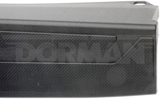 Dorman - OE Solutions Tailgate Molding  925-624