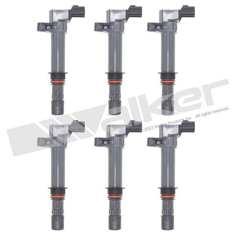Walker Products Ignition Coil Set  928-4051-6