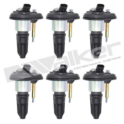 Walker Products Ignition Coil Set  928-4055-6