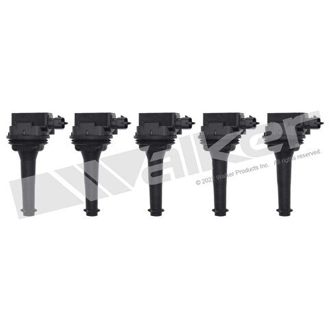 Walker Products Ignition Coil Set  928-4067-5