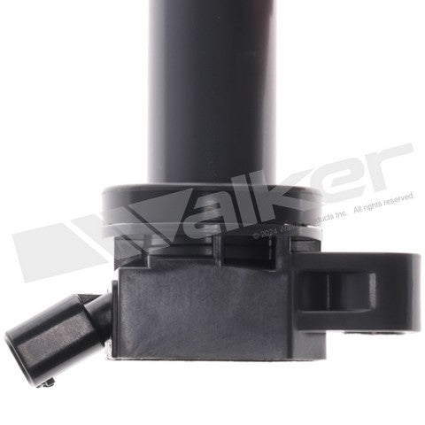 Walker Products Ignition Coil Set  928-4077-6