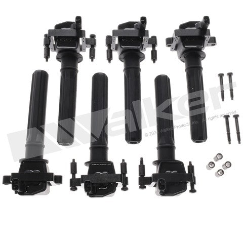 Walker Products Ignition Coil Set  928-4081-6