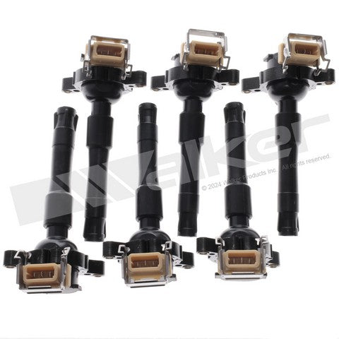 Walker Products Ignition Coil Set  928-4082-6