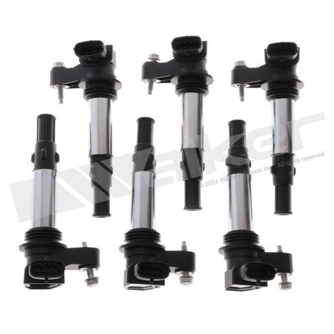 Walker Products Ignition Coil Set  928-4083-6