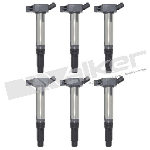 Walker Products Ignition Coil Set  928-4087-6