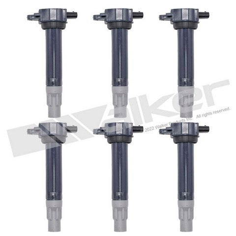 Walker Products Ignition Coil Set  928-4090-6
