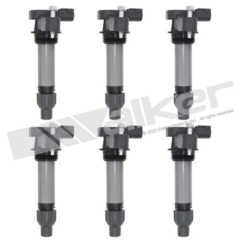 Walker Products Ignition Coil Set  928-4096-6