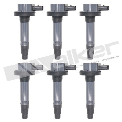 Walker Products Ignition Coil Set  928-4102-6