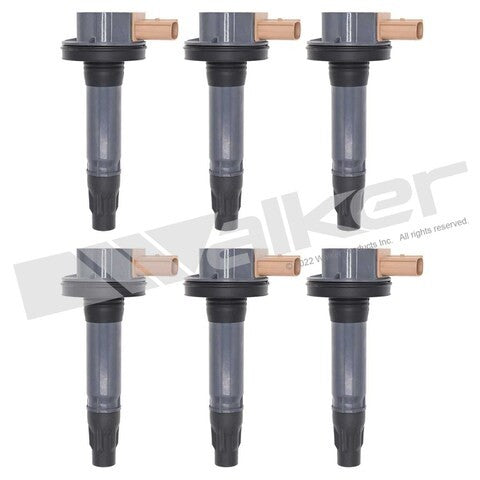 Walker Products Ignition Coil Set  928-4105-6