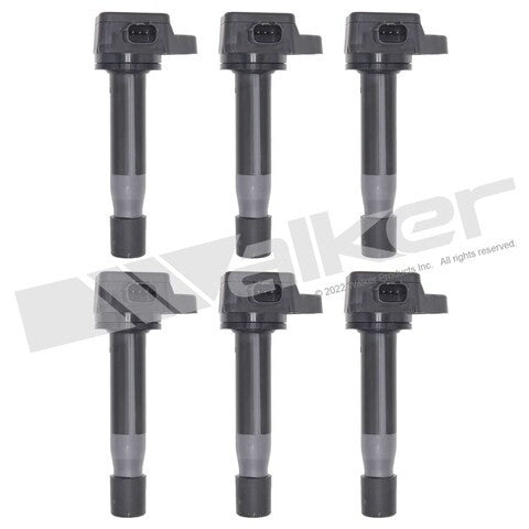 Walker Products Ignition Coil Set  928-4108-6