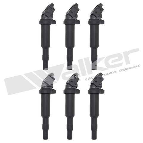 Walker Products Ignition Coil Set  928-4117-6