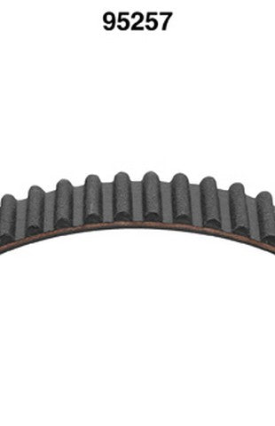 Dayco Engine Timing Belt  95257