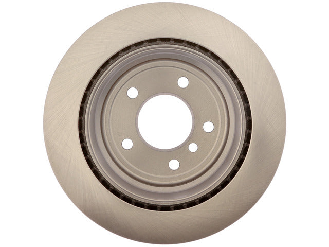 Raybestos Brakes Disc Brake Rotor  980495R