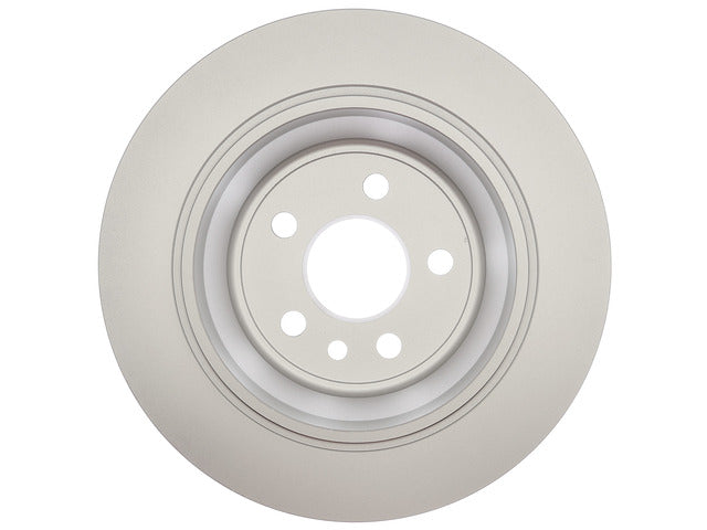 Raybestos Brakes Disc Brake Rotor  981793