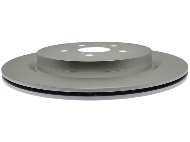 Raybestos Brakes Disc Brake Rotor  982051FZN