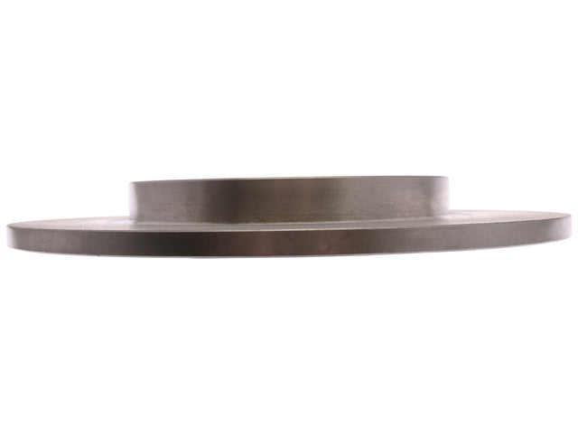Raybestos Brakes Disc Brake Rotor  982513R