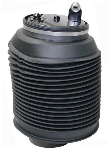 Westar Air Suspension Spring  AS-7037