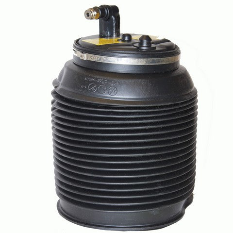 Westar Air Suspension Spring  AS-7038