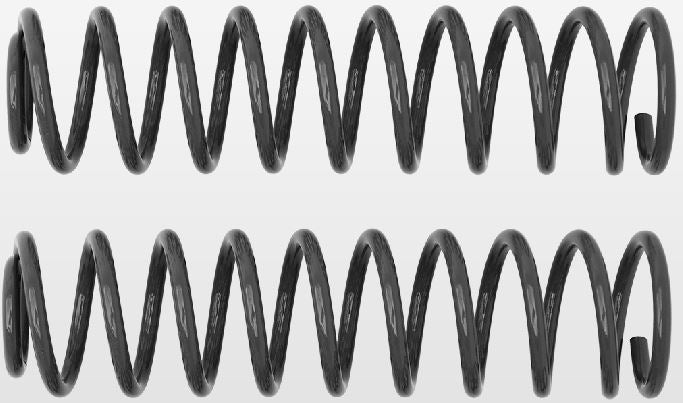 Rancho Coil Spring Set  RS6416B