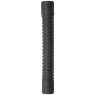 Dayco Radiator Coolant Hose  82031GL