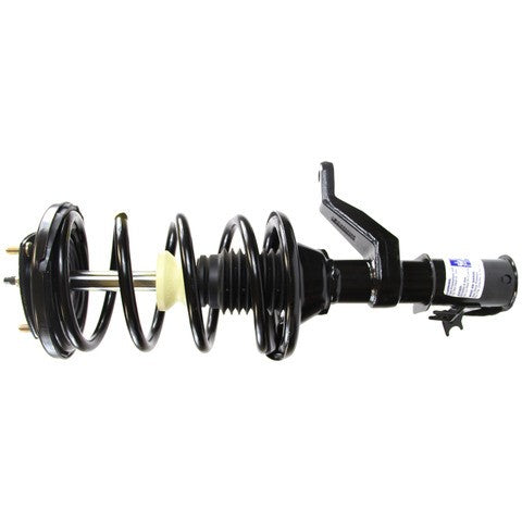 Monroe Shocks & Struts Suspension Strut and Coil Spring Assembly  172135