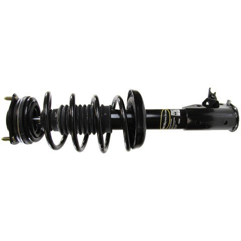 Monroe Shocks & Struts Suspension Strut and Coil Spring Assembly  172284