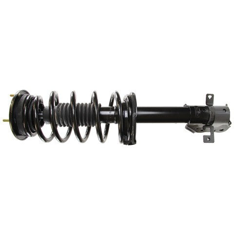 Monroe Shocks & Struts Suspension Strut and Coil Spring Assembly  172888