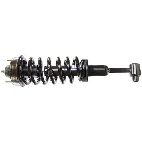 Monroe Shocks & Struts Suspension Strut and Coil Spring Assembly  181398