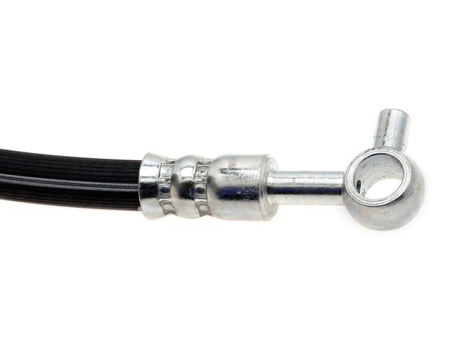 Raybestos Brakes Brake Hydraulic Hose  BH383546