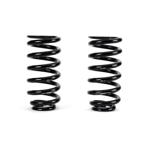 Arnott Industries Air Spring to Coil Spring Conversion Kit  C-2896