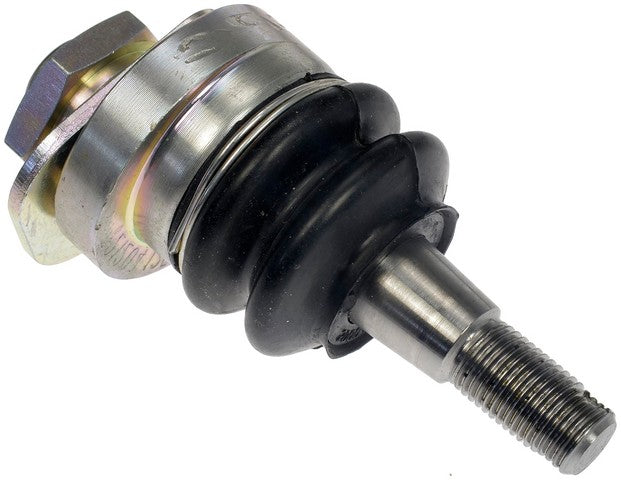 Dorman - OE Solutions Alignment Caster / Camber Control Arm  528-301