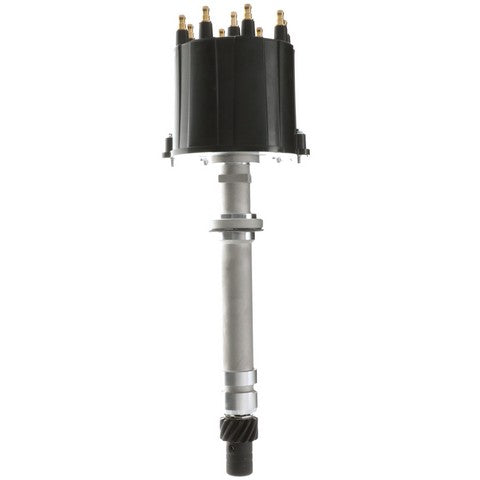 Delphi Distributor  CZ20001