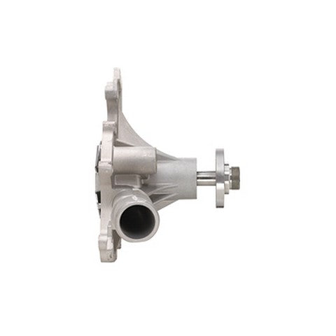 Dayco Engine Water Pump  DP1001