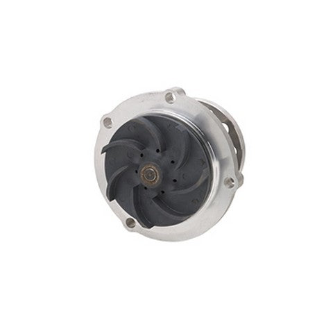 Dayco Engine Water Pump  DP1002