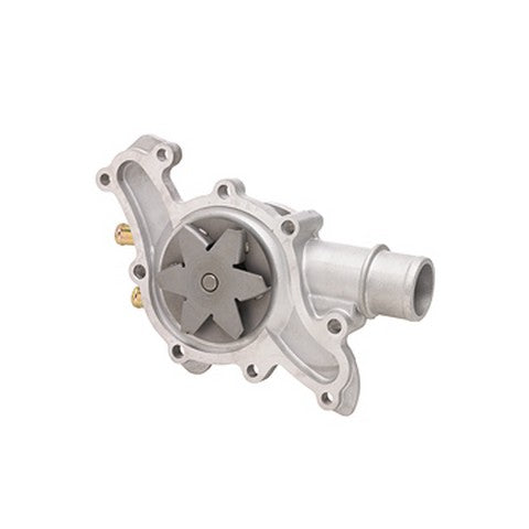 Dayco Engine Water Pump  DP1006