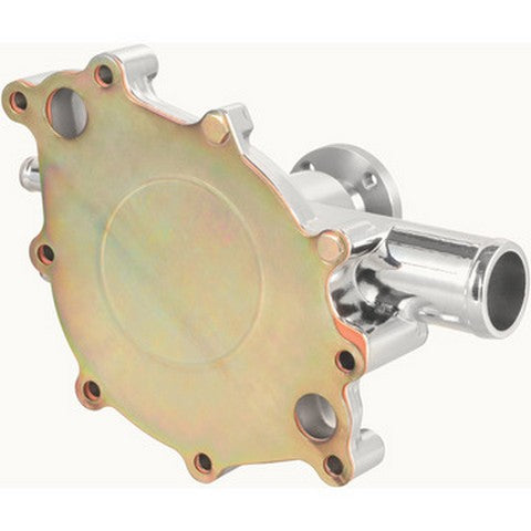 Dayco Engine Water Pump  DP10081