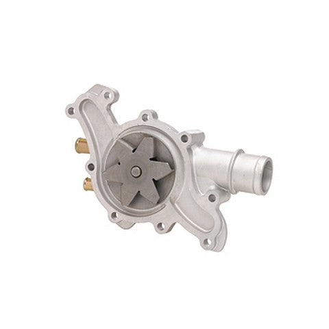 Dayco Engine Water Pump  DP1009
