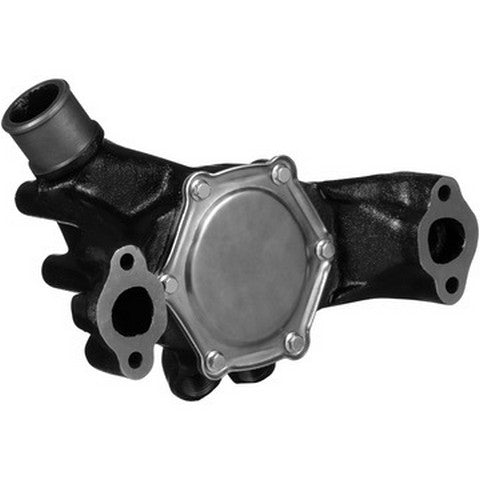 Dayco Engine Water Pump  DP1011H