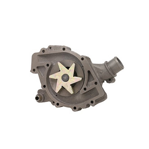 Dayco Engine Water Pump  DP1031