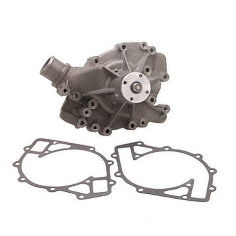 Dayco Engine Water Pump  DP1031