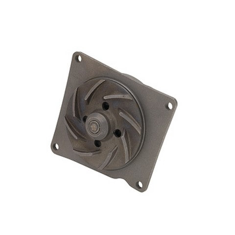 Dayco Engine Water Pump  DP1067