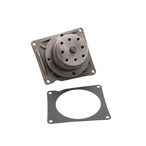 Dayco Engine Water Pump  DP1067