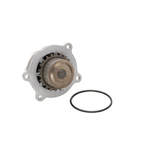 Dayco Engine Water Pump  DP1089
