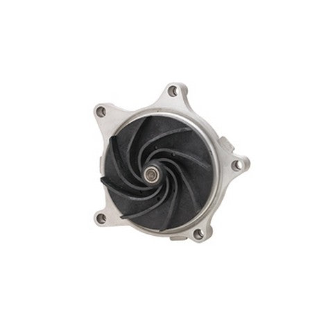 Dayco Engine Water Pump  DP1309