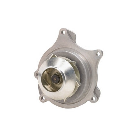 Dayco Engine Water Pump  DP1310
